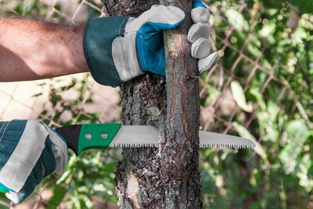 Branch Pruning For Beautiful Spaces