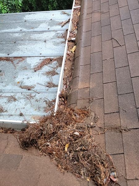 How Clogged Gutters Can Lead to Expensive Home Repairs