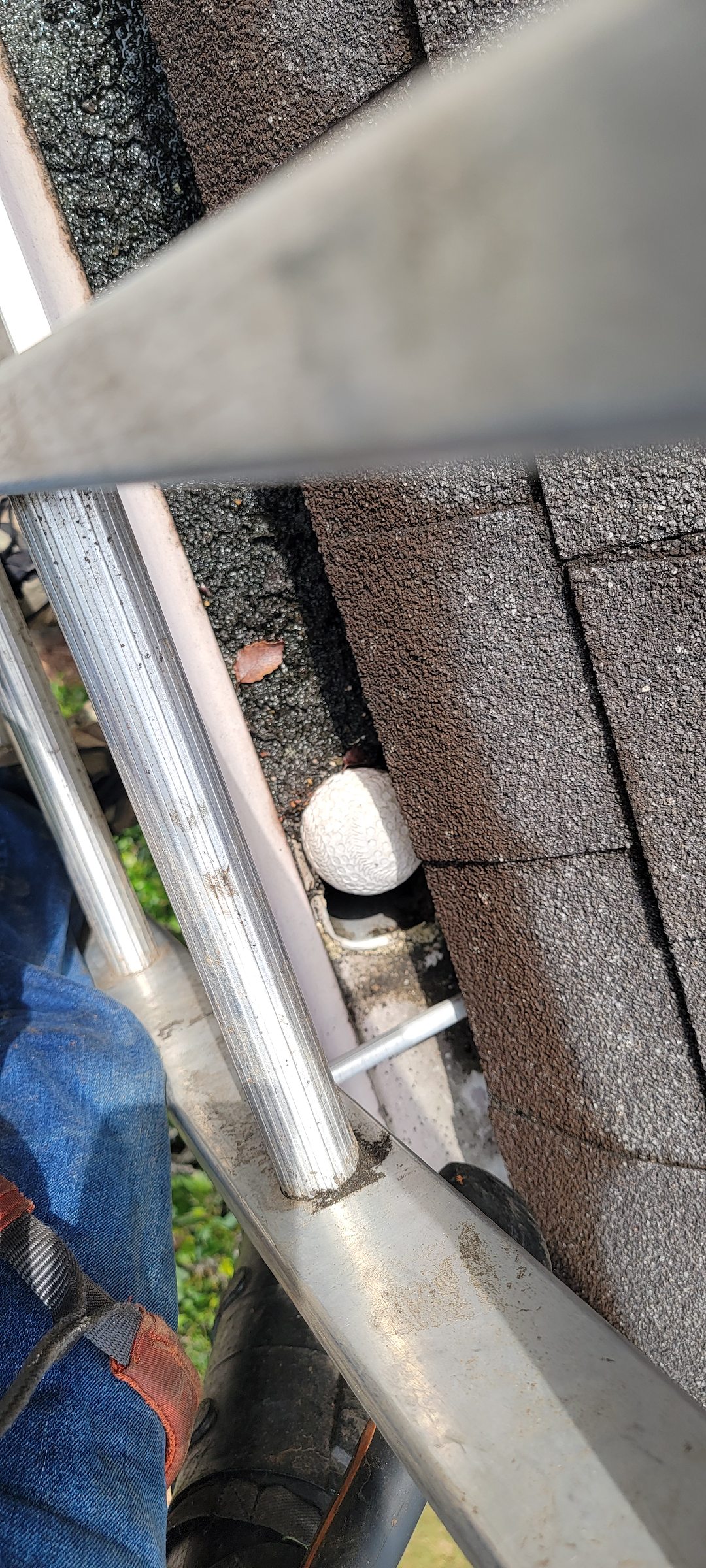 We Handle the Debris You Expect— and the Surprises You Don’t in Roswell & Atlanta, GA