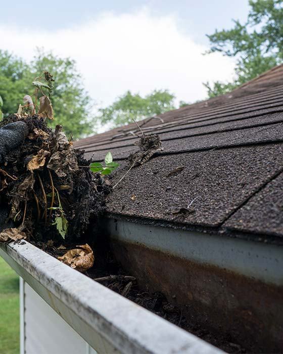 gutter-cleaning-leaves-box