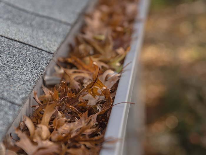 signs-to-get-your-gutter-cleaned